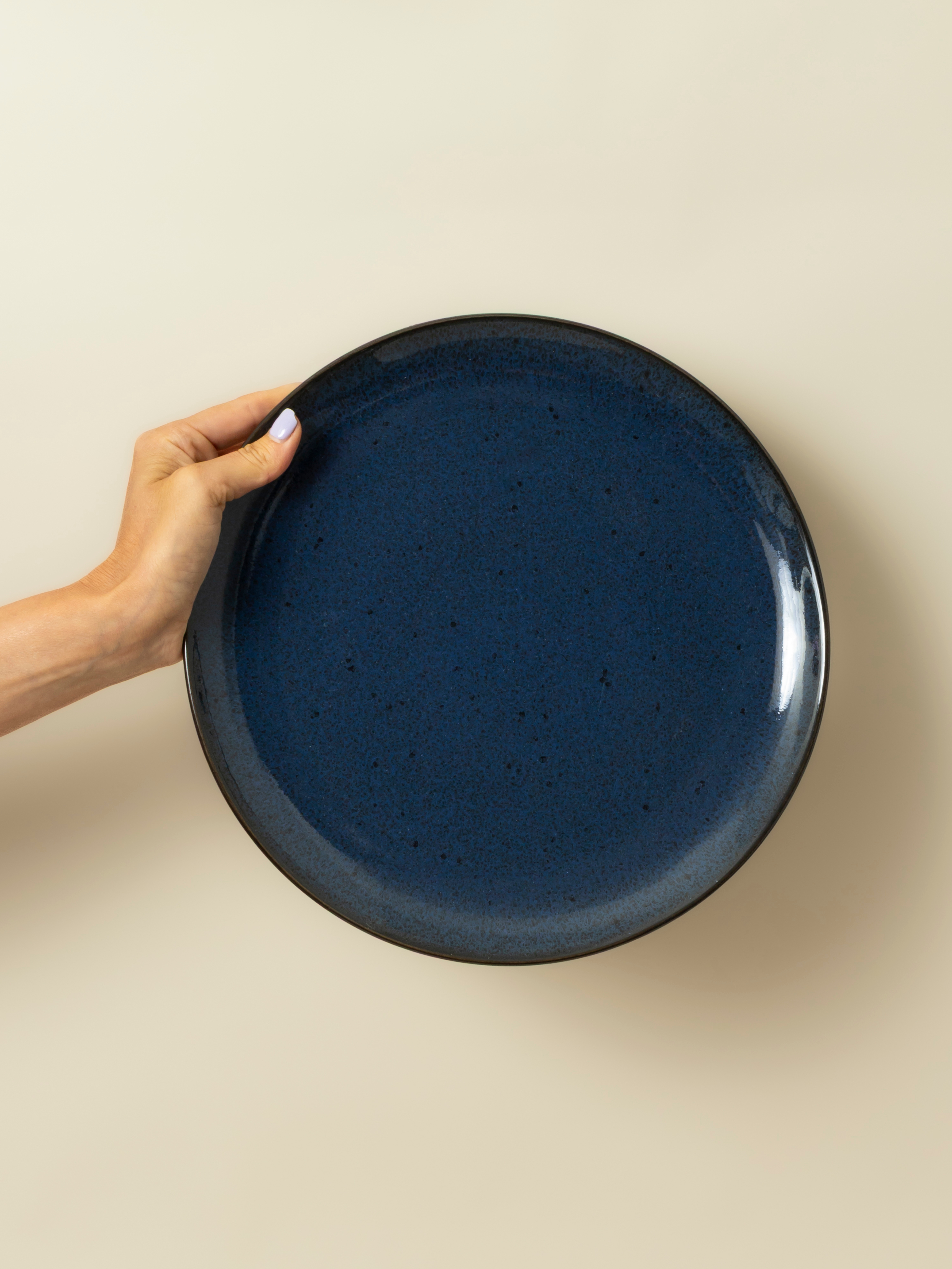 Set of 6 Dinner Plates — Flower Seeds Indigo blue