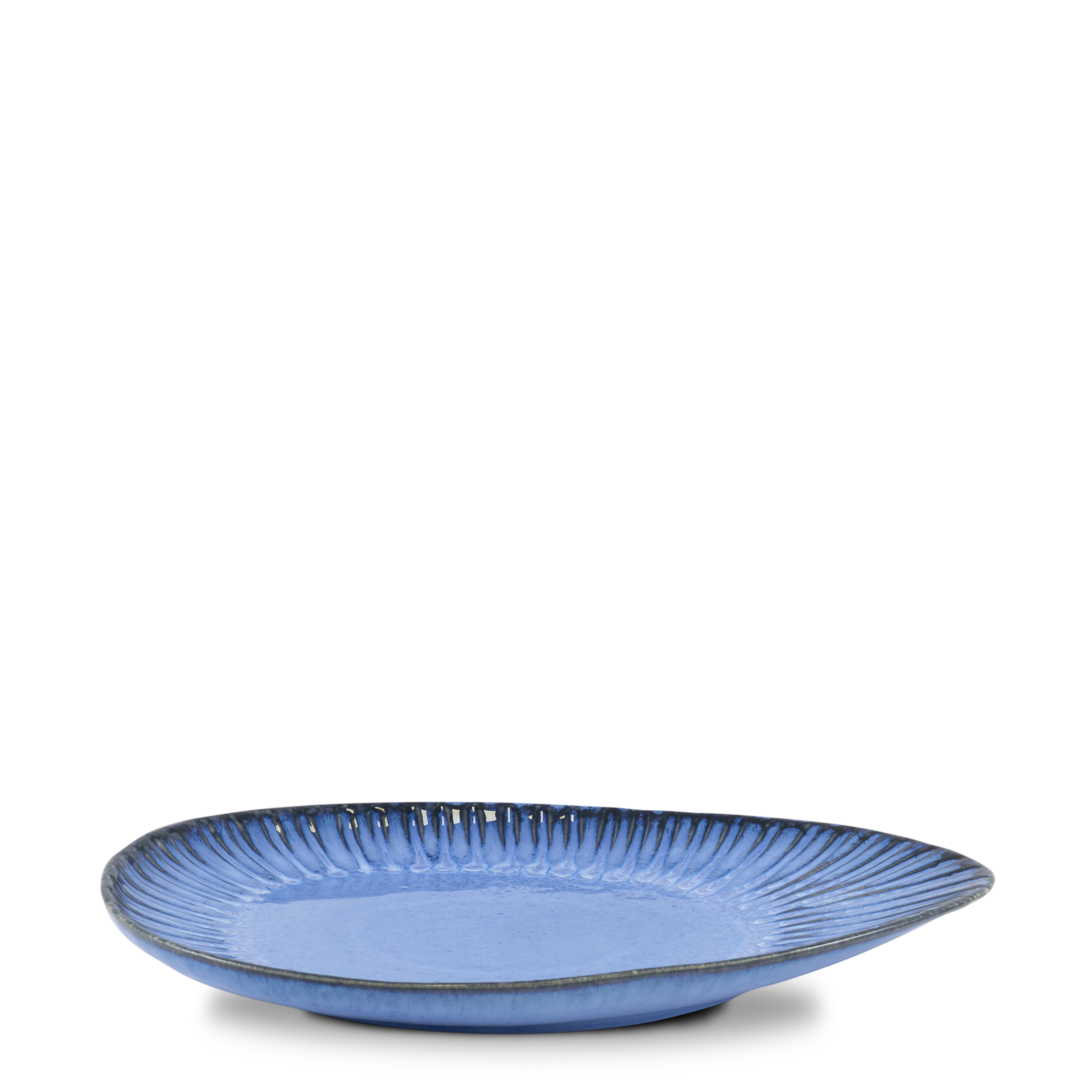 Large Plate — Vieira