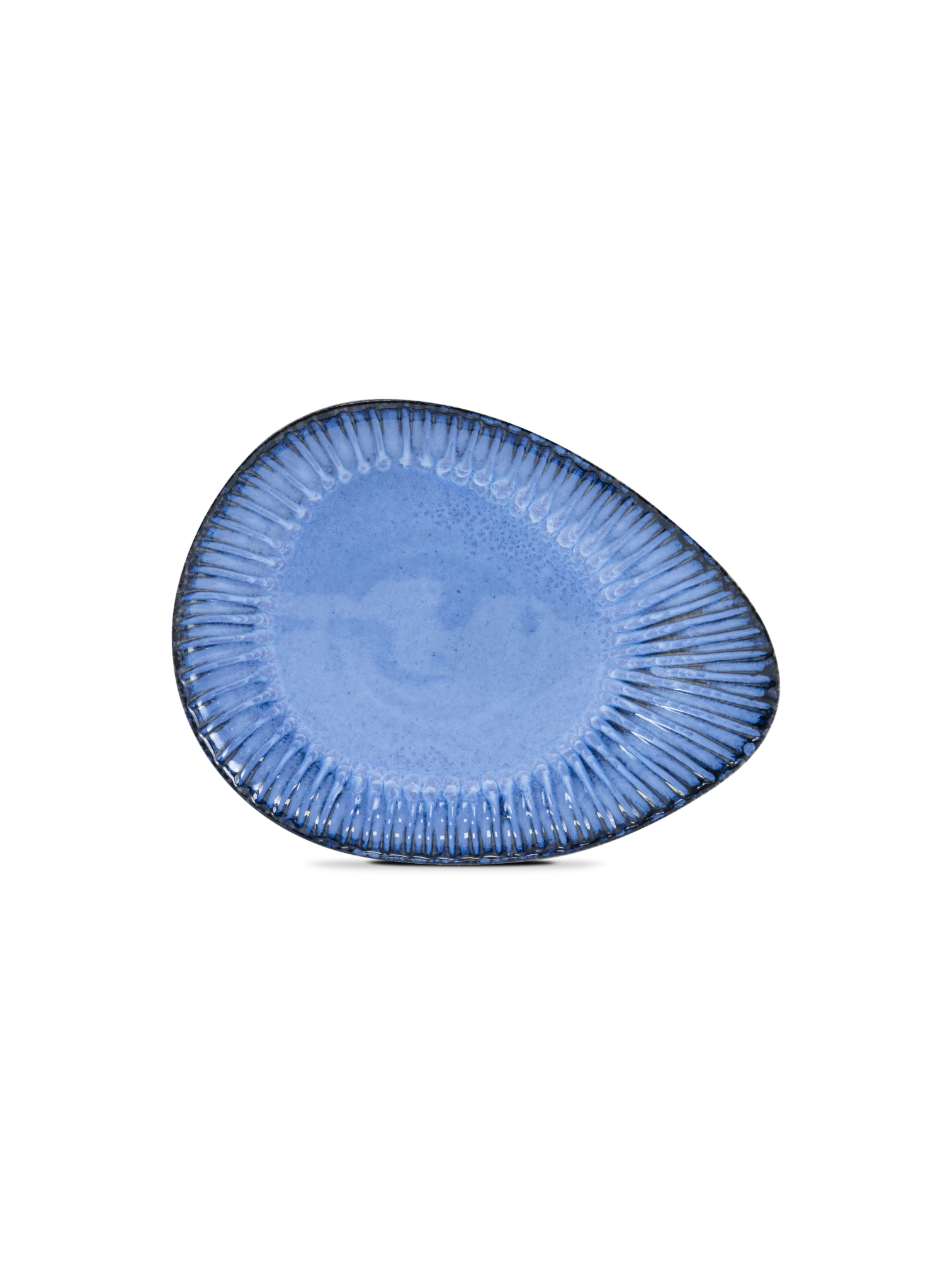 Large Plate — Vieira